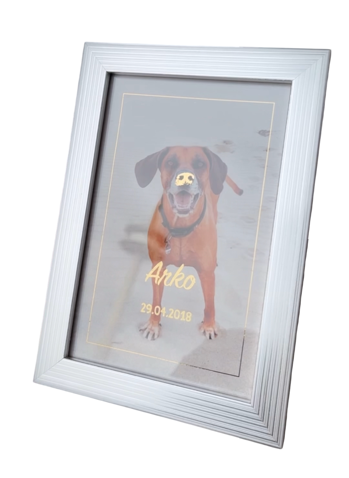 Foto mit Reflektios-Highlight