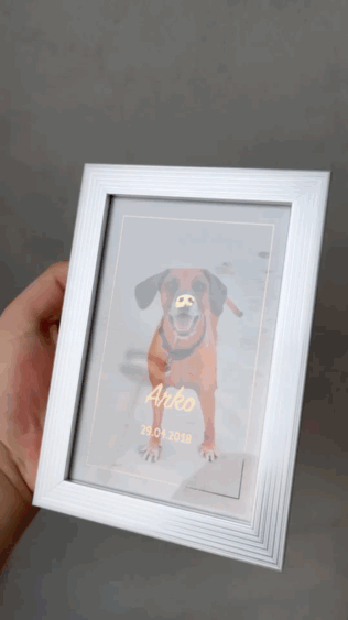 Foto mit Reflektios-Highlight